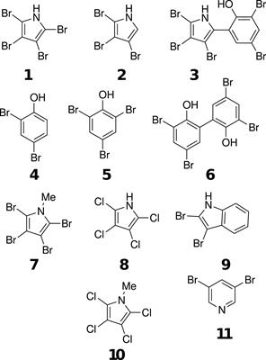 Coral settlement induction by tetrabromopyrrole is widespread among Caribbean corals and compound specific